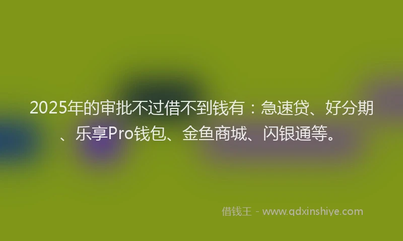 2025年的审批不过借不到钱有：急速贷、好分期、乐享Pro钱包、金鱼商城、闪银通等。