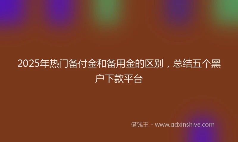2025年热门备付金和备用金的区别，总结五个黑户下款平台