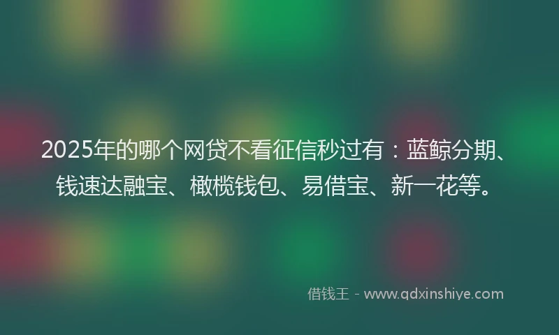 2025年的哪个网贷不看征信秒过有：蓝鲸分期、钱速达融宝、橄榄钱包、易借宝、新一花等。