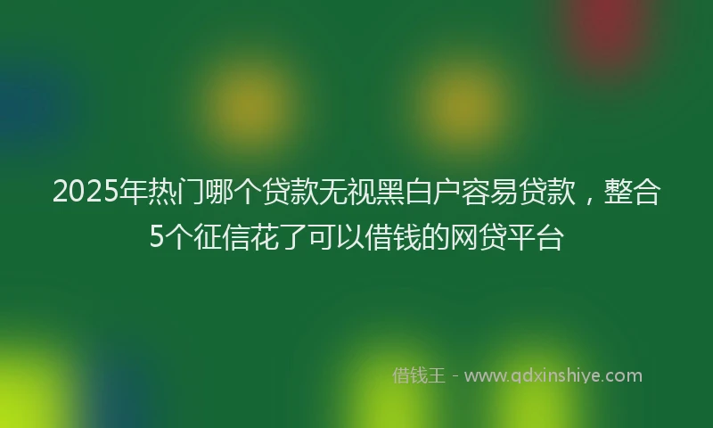 2025年热门哪个贷款无视黑白户容易贷款，整合5个征信花了可以借钱的网贷平台