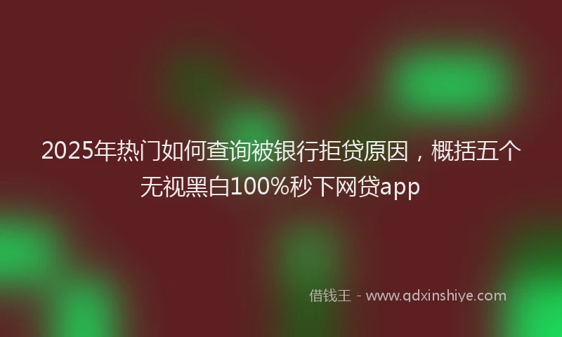2025年热门如何查询被银行拒贷原因，概括五个无视黑白100%秒下网贷app