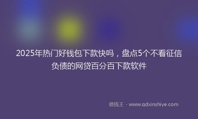 2025年热门好钱包下款快吗，盘点5个不看征信负债的网贷百分百下款软件