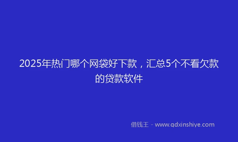 2025年热门哪个网袋好下款，汇总5个不看欠款的贷款软件