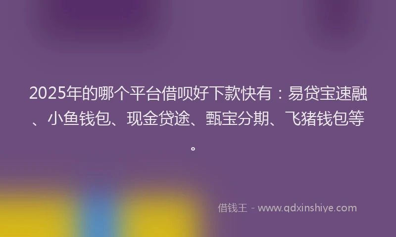 2025年的哪个平台借呗好下款快有：易贷宝速融、小鱼钱包、现金贷途、甄宝分期、飞猪钱包等。