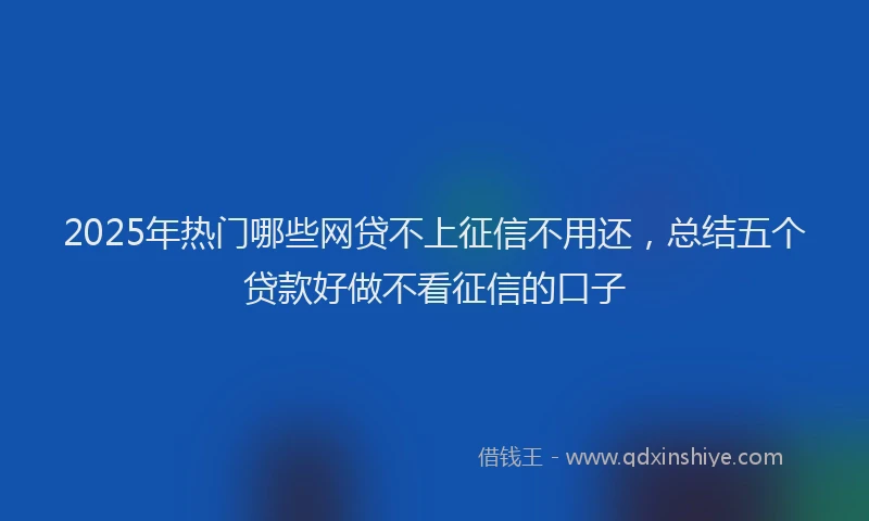 2025年热门哪些网贷不上征信不用还，总结五个贷款好做不看征信的口子
