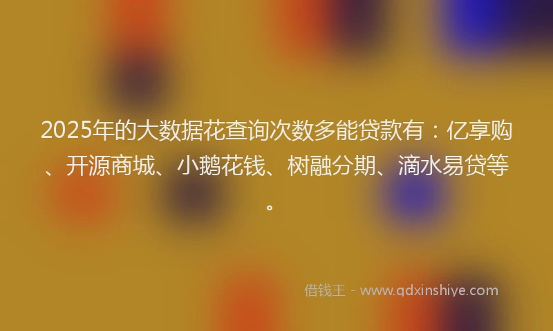 2025年的大数据花查询次数多能贷款有：亿享购、开源商城、小鹅花钱、树融分期、滴水易贷等。