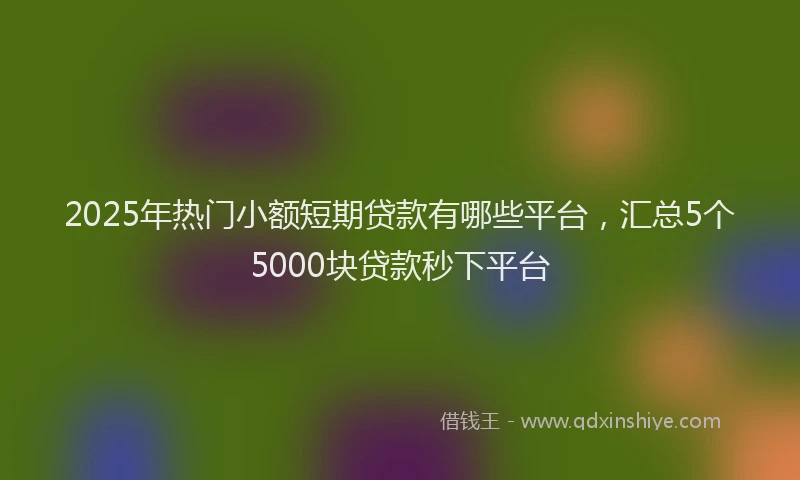 2025年热门小额短期贷款有哪些平台,汇总5个5000块贷款秒下平台