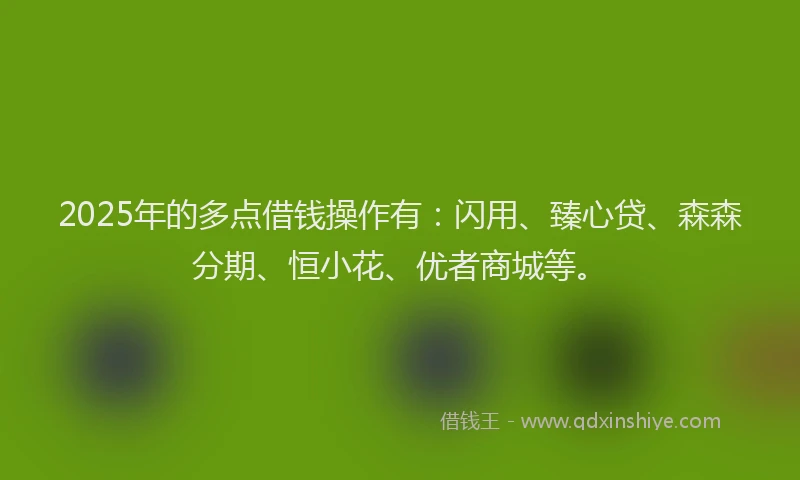 2025年的多点借钱操作有：闪用、臻心贷、森森分期、恒小花、优者商城等。