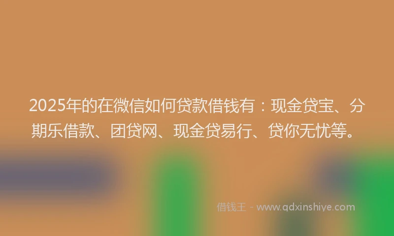 2025年的在微信如何贷款借钱有：现金贷宝、分期乐借款、团贷网、现金贷易行、贷你无忧等。