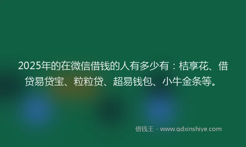 2025年的在微信借钱的人有多少有：桔享花、借贷易贷宝、粒粒贷、超易钱包、小牛金条等。