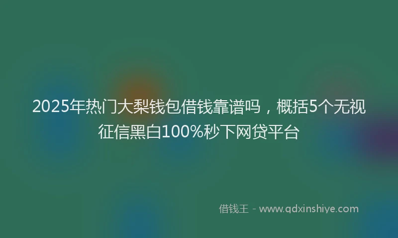 2025年热门大梨钱包借钱靠谱吗，概括5个无视征信黑白100%秒下网贷平台