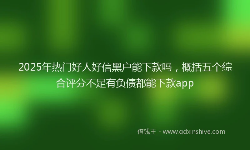 2025年热门好人好信黑户能下款吗，概括五个综合评分不足有负债都能下款app