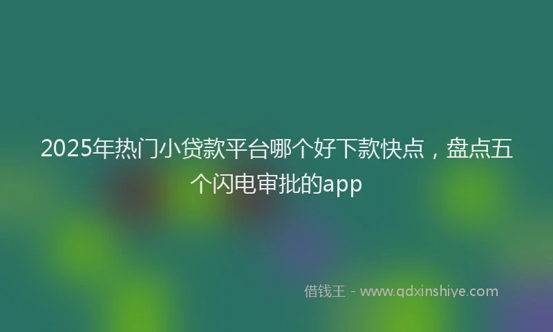 2025年热门小贷款平台哪个好下款快点，盘点五个闪电审批的app