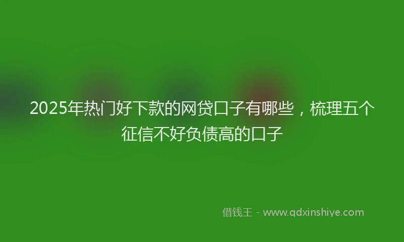 2025年热门好下款的网贷口子有哪些，梳理五个征信不好负债高的口子