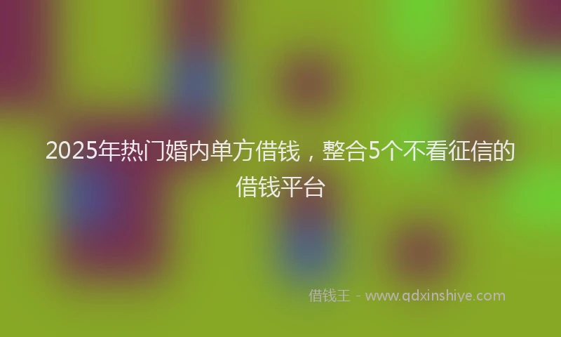 2025年热门婚内单方借钱，整合5个不看征信的借钱平台