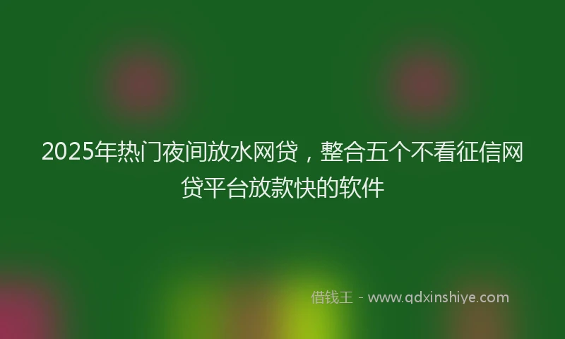 2025年热门夜间放水网贷，整合五个不看征信网贷平台放款快的软件