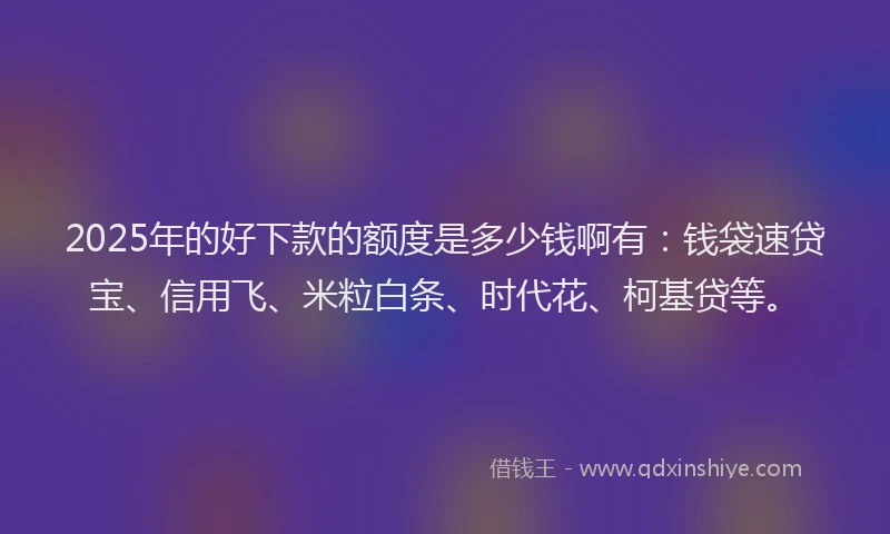 2025年的好下款的额度是多少钱啊有：钱袋速贷宝、信用飞、米粒白条、时代花、柯基贷等。