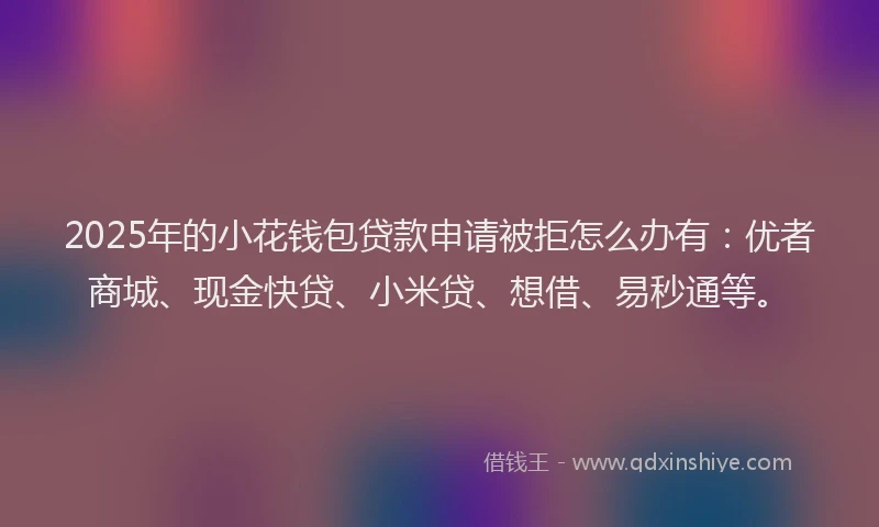 2025年的小花钱包贷款申请被拒怎么办有:优者商城、现金快贷、小米贷、想借、易秒通等。