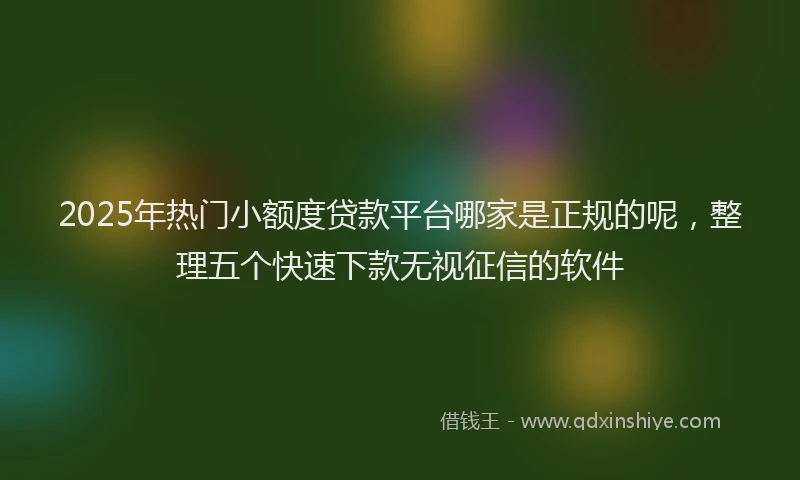2025年热门小额度贷款平台哪家是正规的呢，整理五个快速下款无视征信的软件