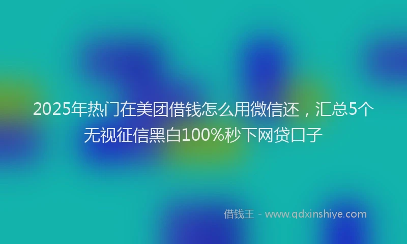 2025年热门在美团借钱怎么用微信还，汇总5个无视征信黑白100%秒下网贷口子