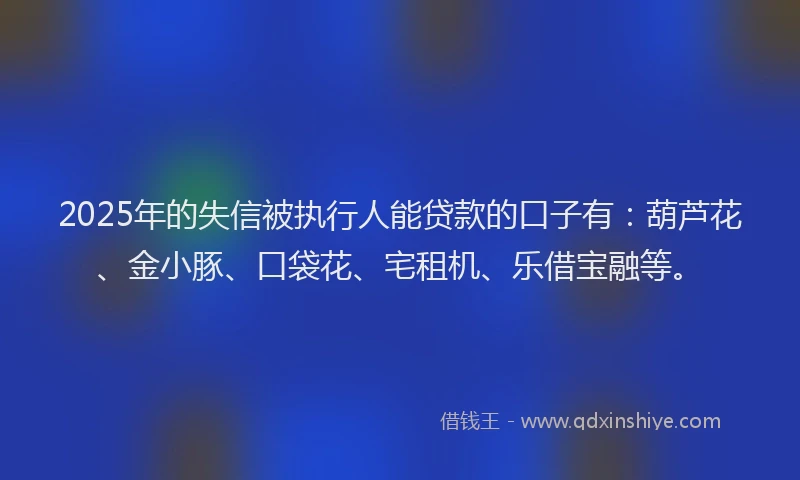 2025年的失信被执行人能贷款的口子有：葫芦花、金小豚、口袋花、宅租机、乐借宝融等。