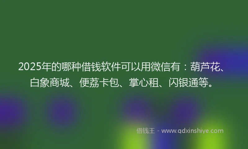 2025年的哪种借钱软件可以用微信有：葫芦花、白象商城、便荔卡包、掌心租、闪银通等。