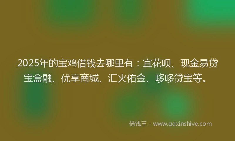 2025年的宝鸡借钱去哪里有:宜花呗、现金易贷宝盒融、优享商城、汇火佑金、哆哆贷宝等。