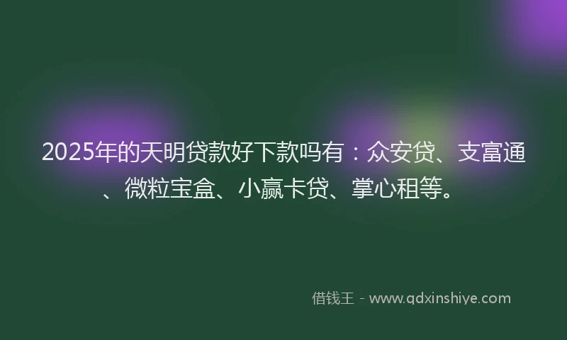 2025年的天明贷款好下款吗有：众安贷、支富通、微粒宝盒、小赢卡贷、掌心租等。