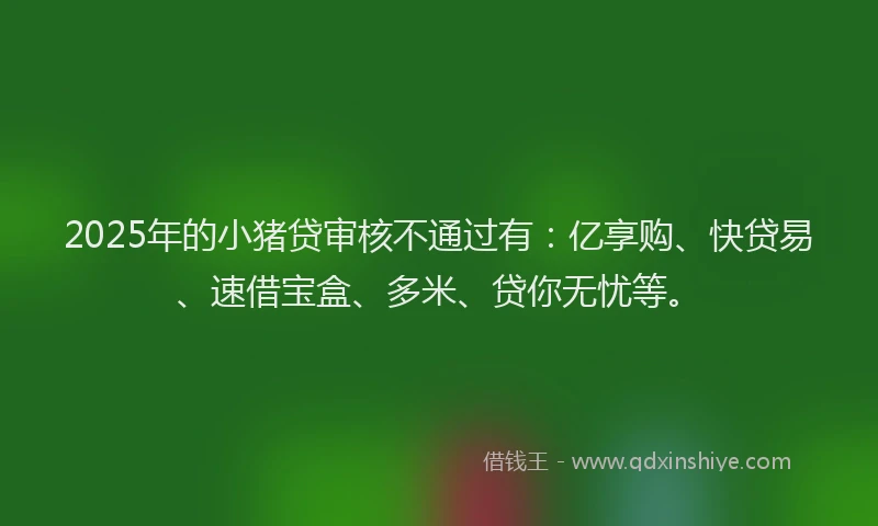 2025年的小猪贷审核不通过有：亿享购、快贷易、速借宝盒、多米、贷你无忧等。