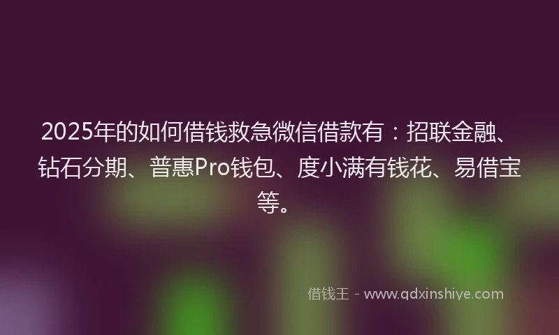 2025年的如何借钱救急微信借款有：招联金融、钻石分期、普惠Pro钱包、度小满有钱花、易借宝等。