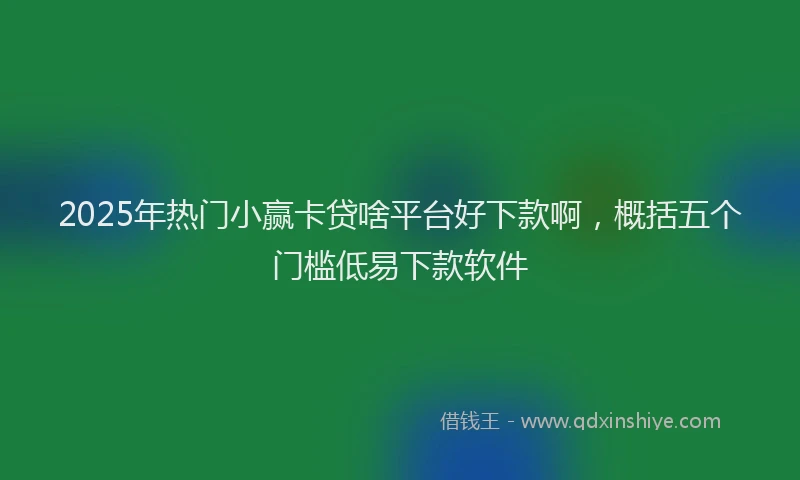 2025年热门小赢卡贷啥平台好下款啊，概括五个门槛低易下款软件