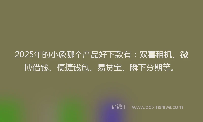 2025年的小象哪个产品好下款有：双喜租机、微博借钱、便捷钱包、易贷宝、瞬下分期等。