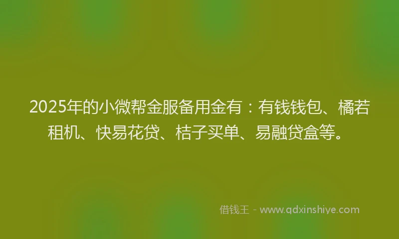 2025年的小微帮金服备用金有:有钱钱包、橘若租机、快易花贷、桔子买单、易融贷盒等。