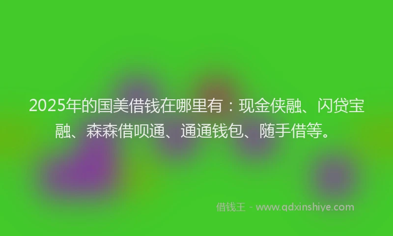 2025年的国美借钱在哪里有：现金侠融、闪贷宝融、森森借呗通、通通钱包、随手借等。