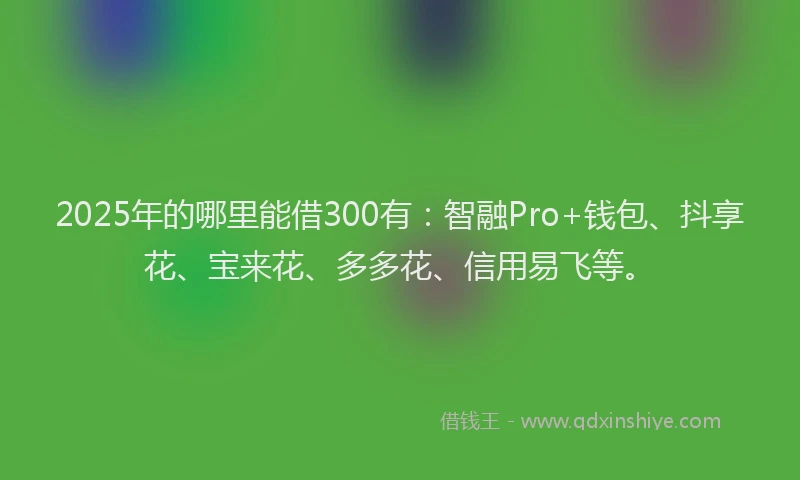 2025年的哪里能借300有：智融Pro+钱包、抖享花、宝来花、多多花、信用易飞等。