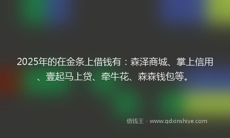 2025年的在金条上借钱有：森泽商城、掌上信用、壹起马上贷、牵牛花、森森钱包等。