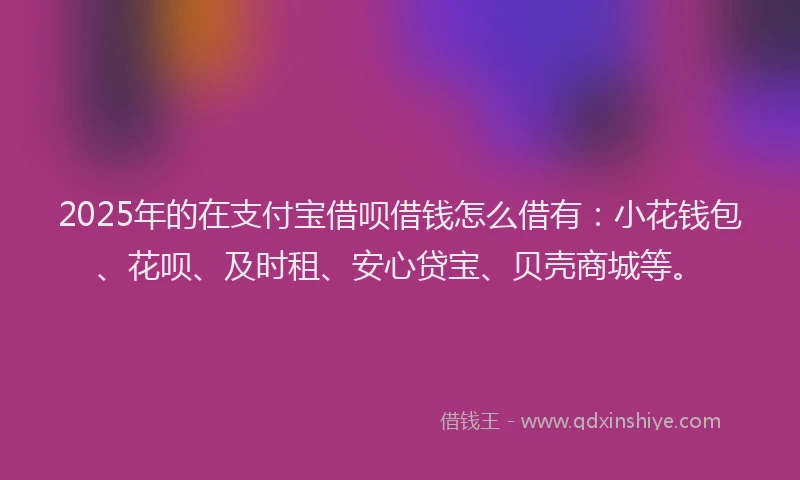 2025年的在支付宝借呗借钱怎么借有：小花钱包、花呗、及时租、安心贷宝、贝壳商城等。