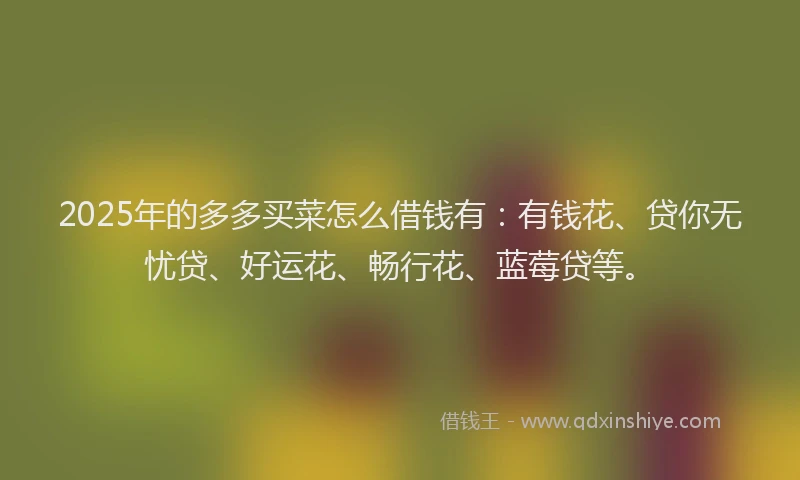 2025年的多多买菜怎么借钱有：有钱花、贷你无忧贷、好运花、畅行花、蓝莓贷等。