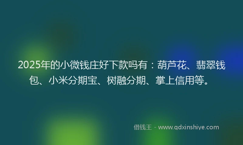 2025年的小微钱庄好下款吗有:葫芦花、翡翠钱包、小米分期宝、树融分期、掌上信用等。