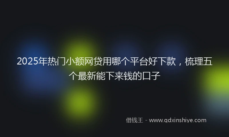 2025年热门小额网贷用哪个平台好下款，梳理五个最新能下来钱的口子