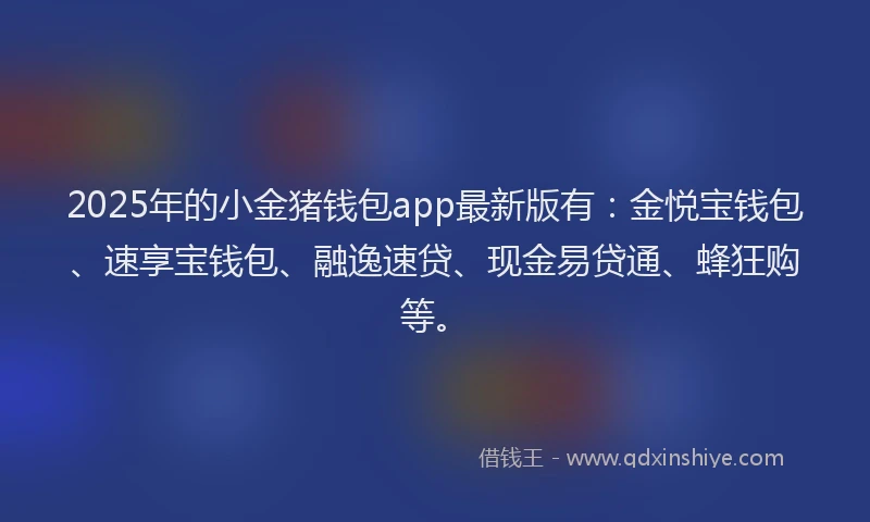 2025年的小金猪钱包app最新版有：金悦宝钱包、速享宝钱包、融逸速贷、现金易贷通、蜂狂购等。