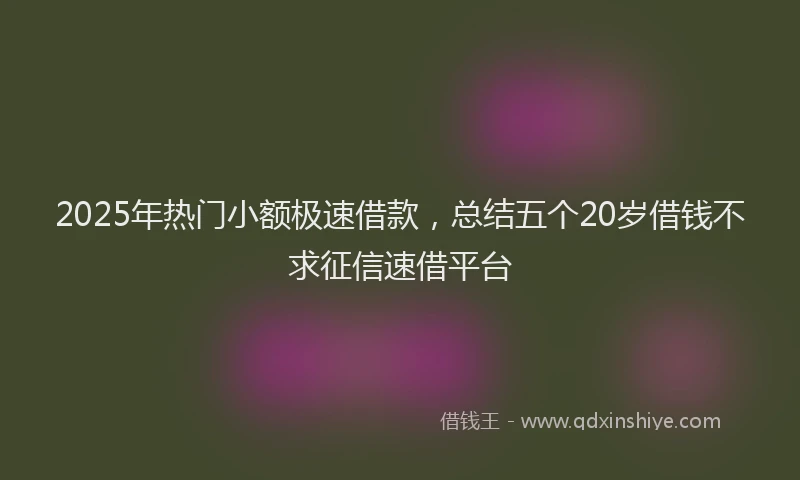 2025年热门小额极速借款，总结五个20岁借钱不求征信速借平台