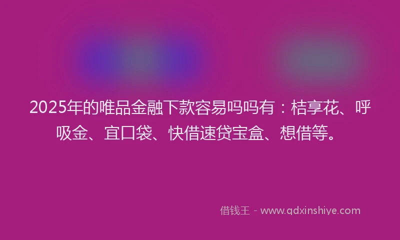2025年的唯品金融下款容易吗吗有：桔享花、呼吸金、宜口袋、快借速贷宝盒、想借等。