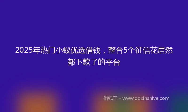 2025年热门小蚁优选借钱，整合5个征信花居然都下款了的平台