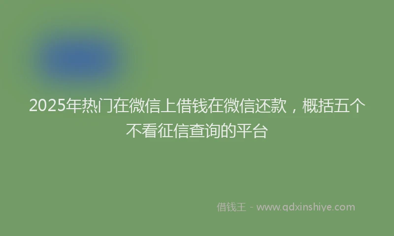 2025年热门在微信上借钱在微信还款，概括五个不看征信查询的平台