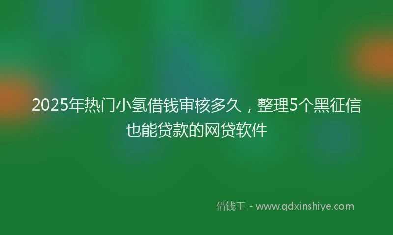 2025年热门小氢借钱审核多久，整理5个黑征信也能贷款的网贷软件