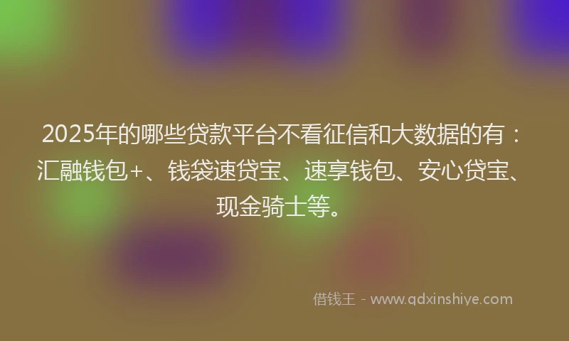 2025年的哪些贷款平台不看征信和大数据的有：汇融钱包+、钱袋速贷宝、速享钱包、安心贷宝、现金骑士等。