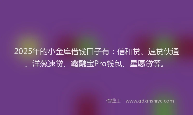 2025年的小金库借钱口子有：信和贷、速贷侠通、洋葱速贷、鑫融宝Pro钱包、星愿贷等。