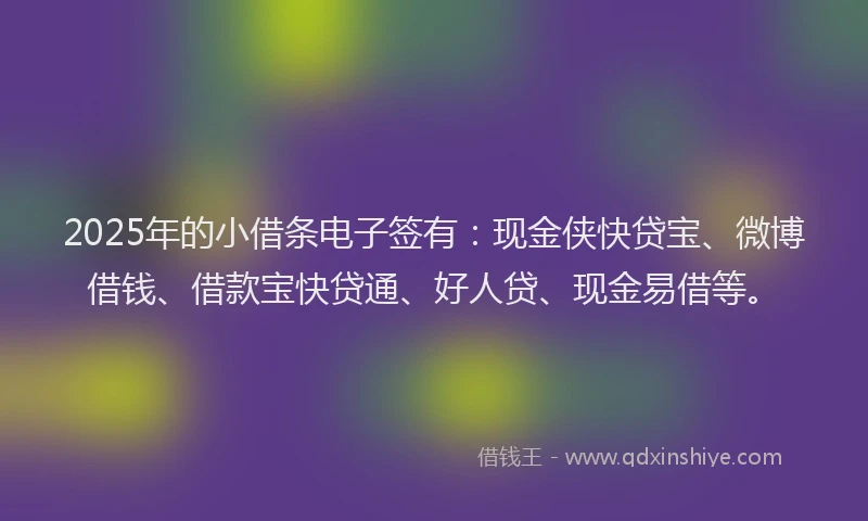 2025年的小借条电子签有:现金侠快贷宝、微博借钱、借款宝快贷通、好人贷、现金易借等。