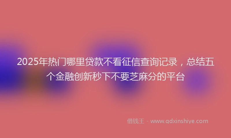 2025年热门哪里贷款不看征信查询记录，总结五个金融创新秒下不要芝麻分的平台
